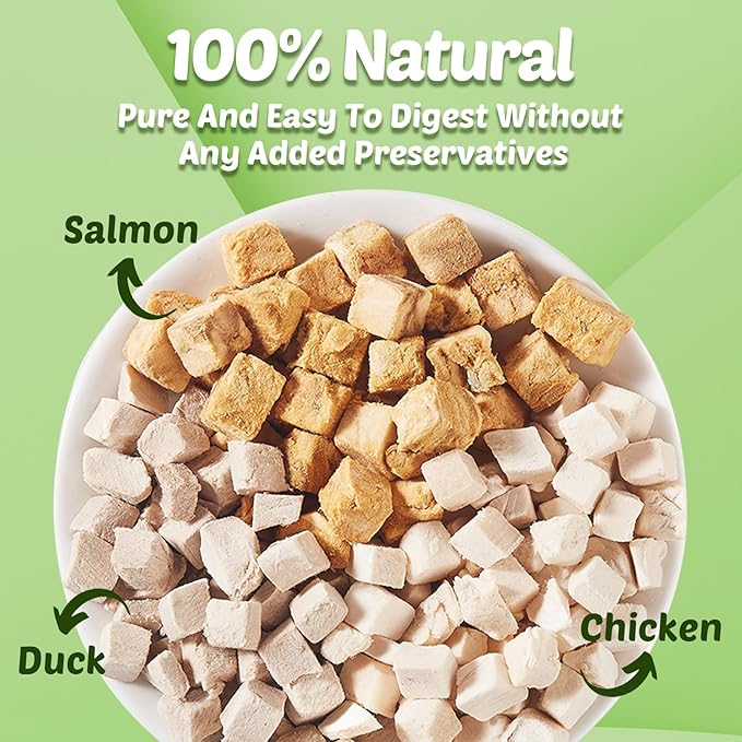 Turtle Food - 3 in 1 Freeze-Dried Meat ?€? Chicken, Duck & Salmon ?€? Natural Treats for Turtles, Cats & Dogs ?€? Human-Grade Real Meat