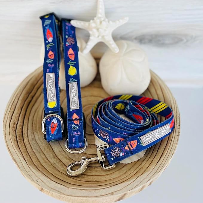 Lucky Love Dog - Easy Click Buckle Dog Collar with Leash Set Combo, Durable & Comfortable for Male & Female Dogs, Pet Collar for Large Dogs, Secure Fit - Mackey Combo, Large