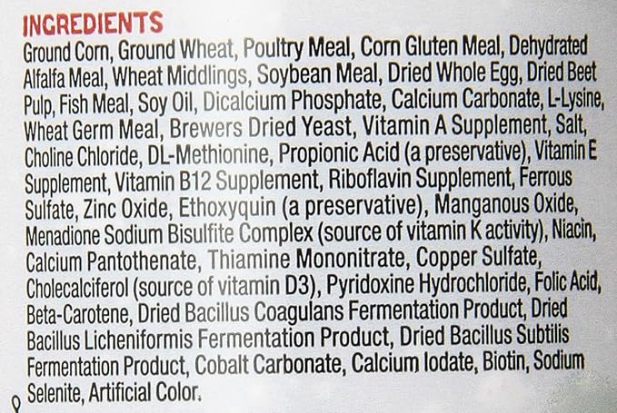 Zilla Bearded Dragon Extruded Food Pellets 6.5 Ounces (Pack of 2)