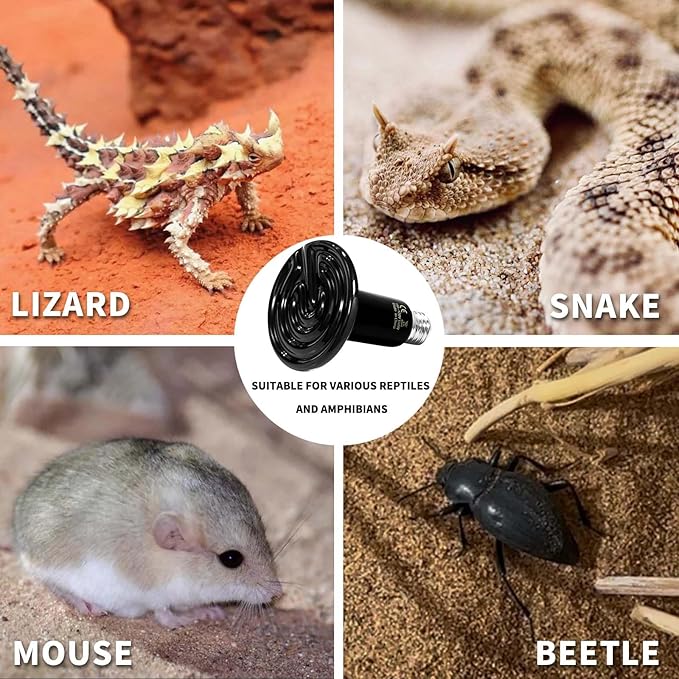 150W Reptile Heat Lamp(2 Packs)-Ceramic Heat Emitter for Reptiles Amphibian Pet Brooders Chicken Incubation, and Terrariums Turtle Lizard Bearded Dragon Snake E26