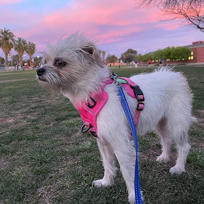 PoyPet No Pull Dog Harness, No Choke Reflective Dog Vest, Adjustable Pet Harnesses with Easy Control Padded Handle for Small Medium Large Dogs(Pink Matching Trim,XS)