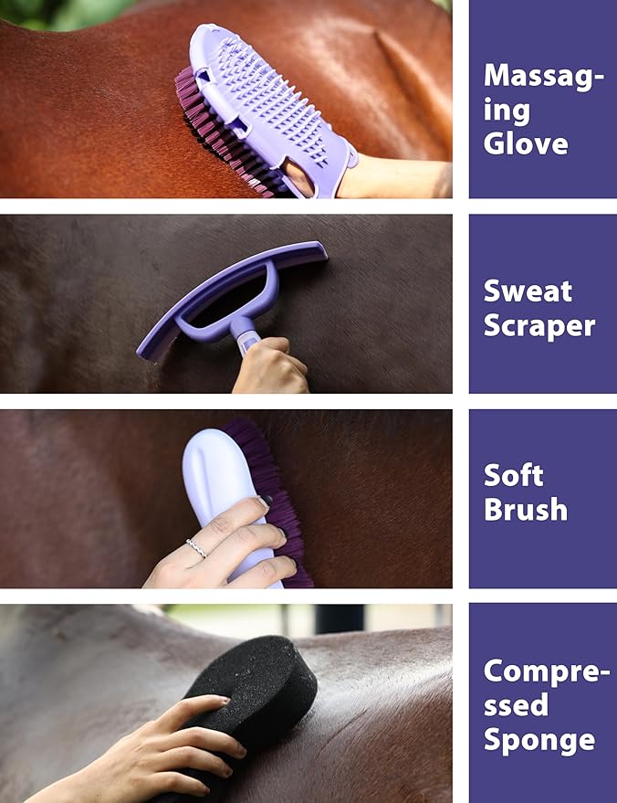 Horse Grooming Kit, 11-Piece Complete Grooming Supplies Set with Curry Comb, Brushes & Hoof Pick for Daily Care, Stable & Show Use Sugar Taro