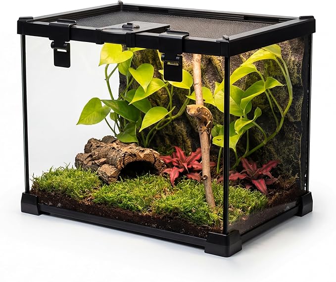 20"x12"x14" Mini Reptile Glass Terrarium, Top-Opening Full-View Vivarium with Escape-Proof Lock & Feeding Door, for Small Reptiles & Inverts, Such as Crested Geckos & Arboreal Tarantulas.