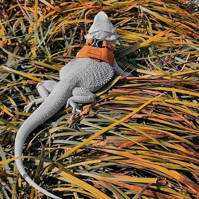 3 Pack Bearded Dragon Harness and Leash Set - Adjustable Soft Leather Lizard Harness Leash Small Animal Traction Rope Training Walking Vest Accessories for Reptile Squirrel Rat (Brown)