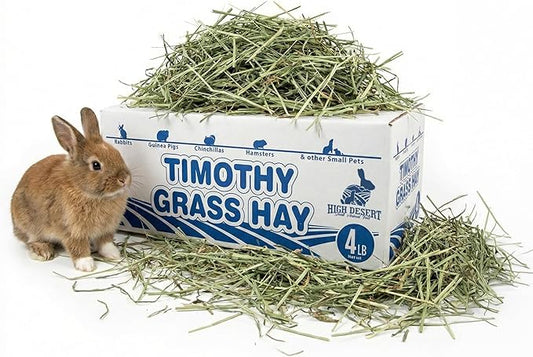High Desert 1st Cut Timothy Hay for Rabbits, Guinea Pigs, and Small Pets, Premium Grass Hay for Daily Feeding and Digestive Health, Natural Rabbit Food and Guinea Pig Food, Small Pet Supplies, 4 lb