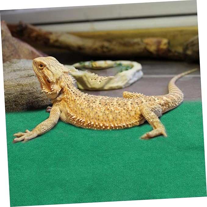 UPKOCH 60x40cm Waterproof Reptile Heating Pad for Turtles Lizards and Snakes Insulated PET Cushion for Terrarium Use
