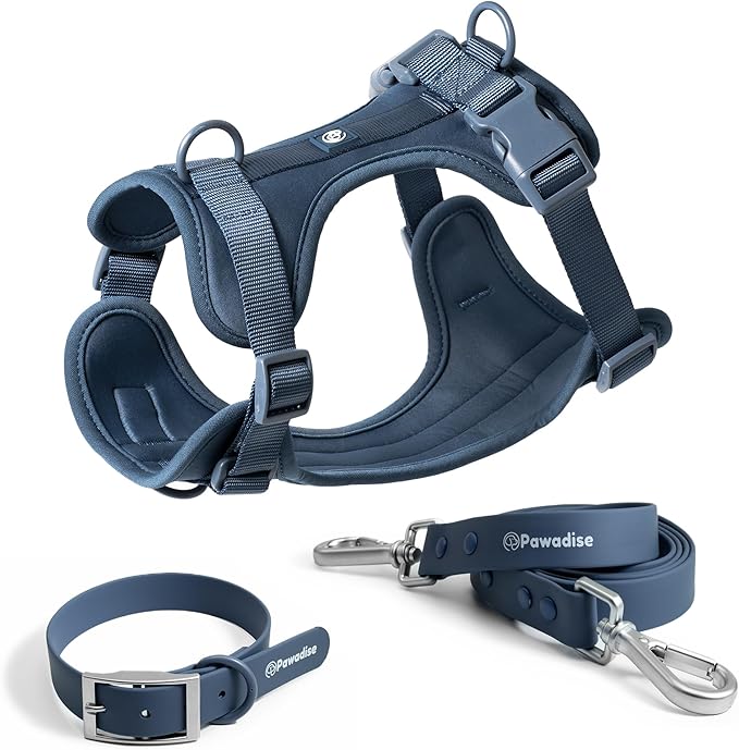Dog Harness, Collar & Leash Set, Adjustable No Pull Harness with 3 Leash Clips, Waterproof Matching Collar & Leash, Breathable Comfort