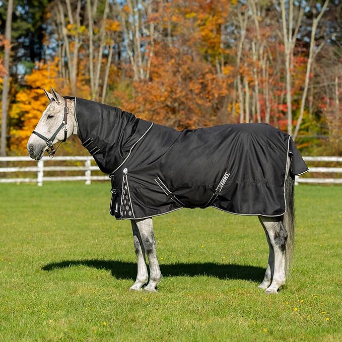 Equinavia Norse Lightweight 100g Fill Horse Rain Blanket | Waterproof Turnout Sheet - Black - 66 in - Black - 78 in