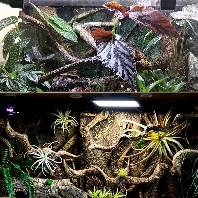 BNOSDM Reptile Forest Climbing Branch Decor 4PCS Crested Gecko Climb Wood Natural Branches Tree for Snake Frog Chameleon Spider Bearded Dragon Terrarium Habitat Tank Accessories