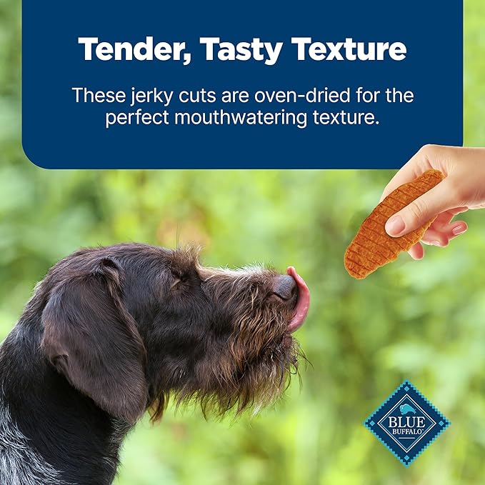 Blue Buffalo Nudges Jerky Cuts Dog Treats, Made in the USA with Natural Ingredients, Chicken & Duck, 36-oz Bag (Pack of 3)