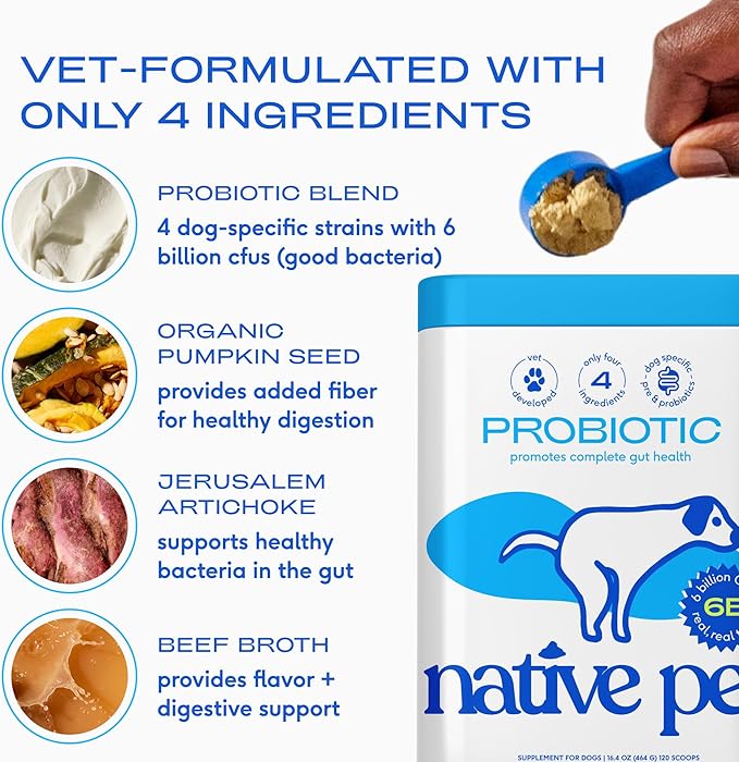 Native Pet Probiotics for Dogs – Dog Probiotic Powder for Gut & Digestive Health, Vet-Formulated 6B CFUs Dog-Specific Probiotic Strains, Supports Stool Quality & Diet Transitions – 240 Scoops