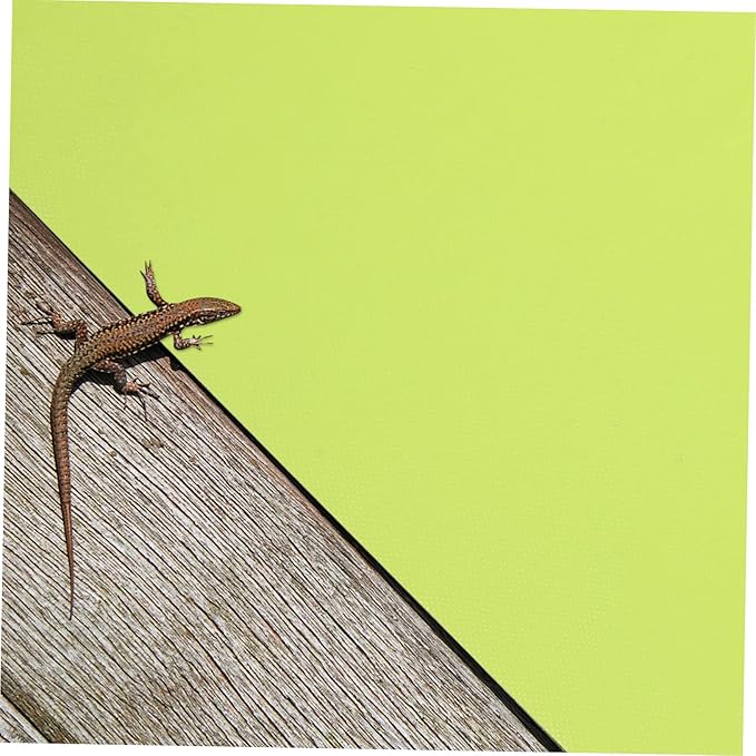 Happyyami 2pcs Non-Absorbent Reptile Carpet for Terrariums Bedding Liner for Bearded Dragons Snakes and Turtles for Tanks