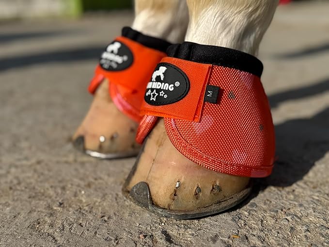 TGW RIDING 2520D Horse Bell Boots No-Turn Horse Bell Boots, Equine Ballistic Hoof Overreach Bell Boot, Pair