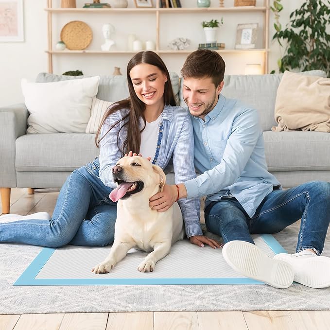 DUMOS 100 Count Puppy Pads for Dogs, 22" x 22" Potty Puppy Training Pad, Dog Cat Pee Pads, Super Absorbency Disposable Pet Leakproof Quick Drying Pad