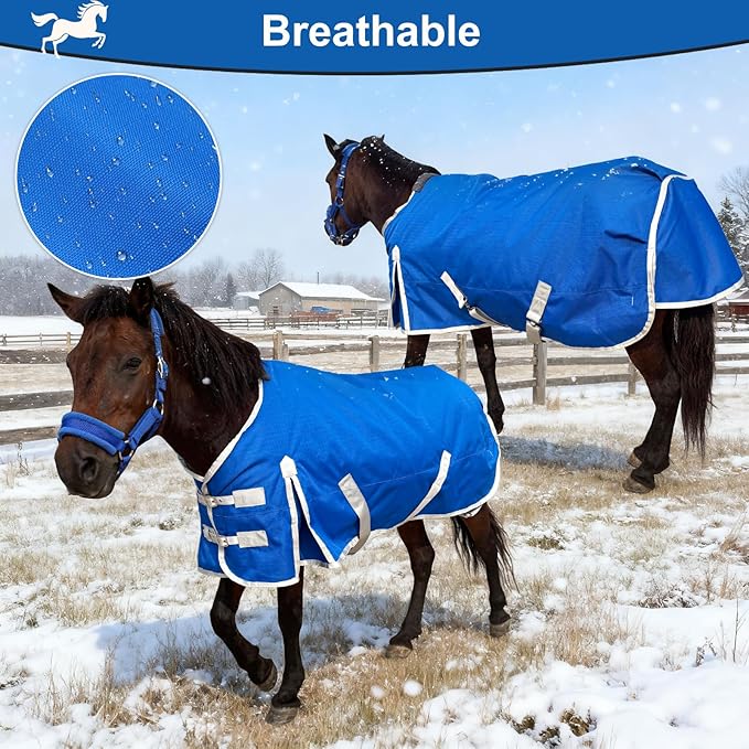 Miniature Horse Pony Horse Blanket, 1200D Winter Turnout Blanket for Pony Breeds/Small Pony/Tiny Horse/Small Breed Horse/Foal,Donkey Blanket with 220g Polyester Filling Liner (47inch, Blue)