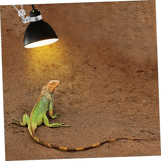 BESPORTBLE 2pcs Adjustable Clamp Lamp Holder for Reptile Heat Lamps Easy Installation Fixture for Tortoise Lighting Enhances Growth and Visibility