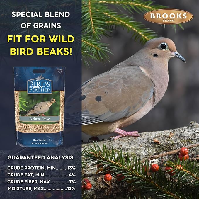 Birds of a Feather Deluxe Dove Food, Pigeon Food, Mourning Dove Outdoor Bird Seed, Dove Bird Seed, Comida para Palomas, Made in USA (20 Pound (Pack of 1))