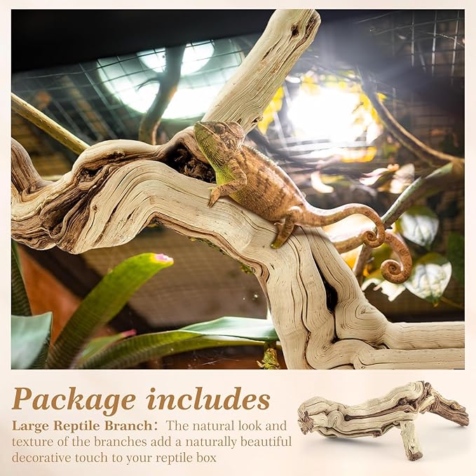 Janinka 22-24" Length Large Wood Reptile Branch for Bearded Dragon Driftwood Reptile Climbing Habitat Decoration for Terrarium Tree Trunk Ornament Gecko Frog Chameleon Spider