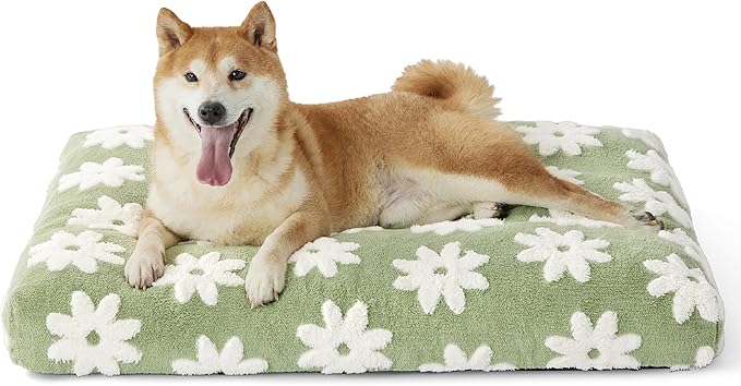 LE SURE Dog Beds Large Sized-Thick Shredded Chopped Foam Pet Bed Indoor as Bed Gift with Removable Cover, Cute Modern Fuzzy Plush & Anti Slip Bottom, Green