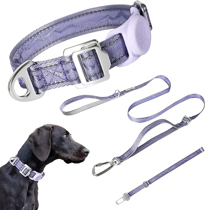 Dog Leash and Collar, Dog Seat Belt for Car, Reflective Nylon, Metal Buckle, IP68, Padded Handle Leash, Durable and Comfortable, for Small Medium Large Dogs (Lavender Purple, M)