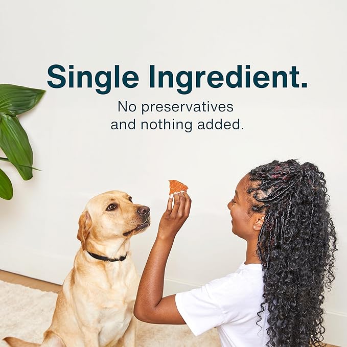 Just Food for Dogs Single Ingredient Healthy Dog Treats and Dog Snacks, Jerky Treats, Human Grade, Preservative and Grain Free, Rawhide Free Chews, Low Calorie Treat - Chicken Breast, 5 oz