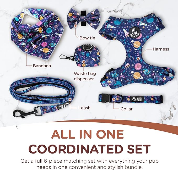 No Pull Harness and Leash Set - 6-in-1 Adjustable Vest Harness and Collars for Medium and Large Dogs. (Cosmic, Small)