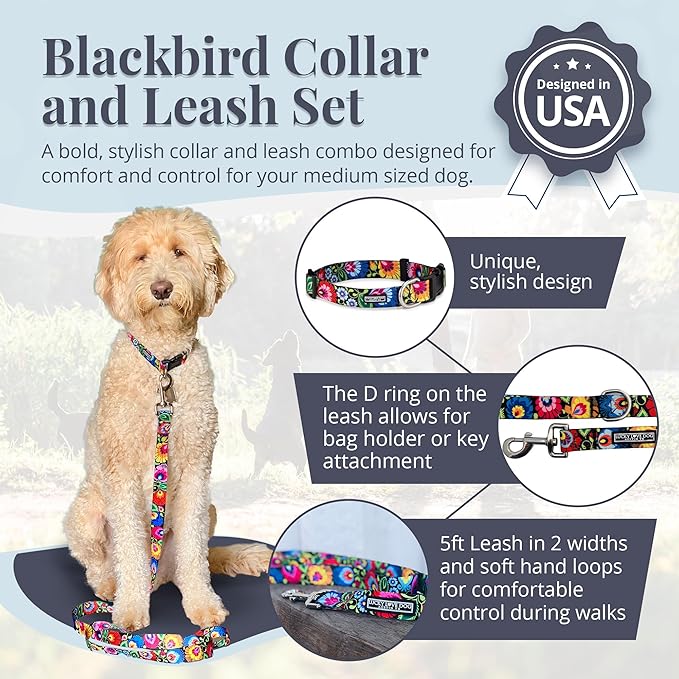 Lucky Love Dog - Easy Click Buckle Dog Collar with Leash Set Combo, Durable & Comfortable for Male & Female Dogs, Pet Collar for Medium Dogs, Secure Fit - Blackbird Combo, Medium