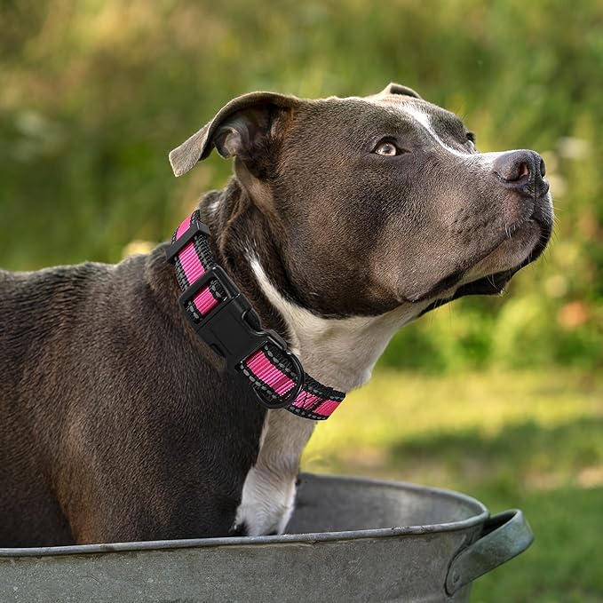 Mile High Life Night Reflective Double Adjustable Band Nylon Small Puppy Pet Dog Combo Collar Leash and Harness Set (Reflective Edge Pink, Mediun (Pack of 3))