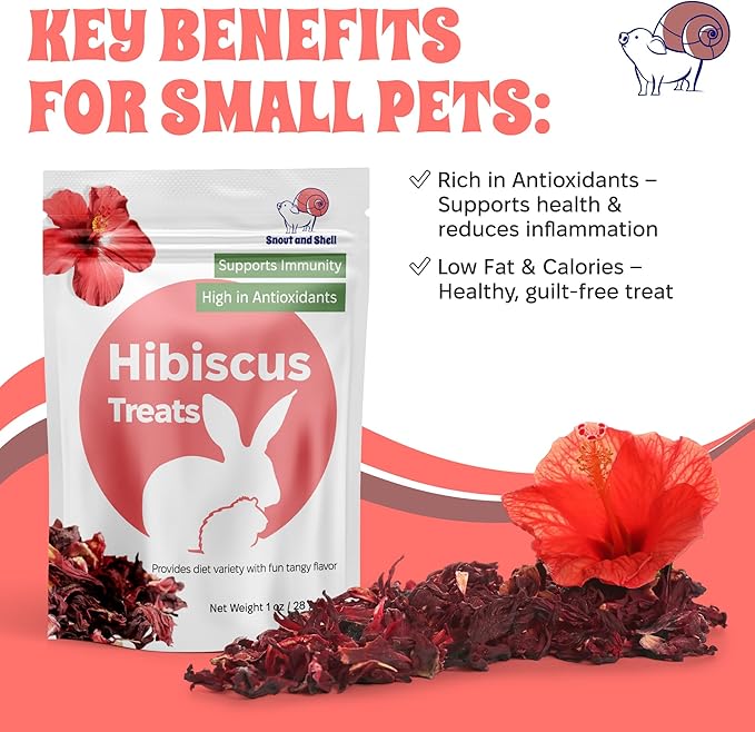 Floral Favorites by Snout and Shell – 4-in-1 Natural Treats for Small Pets – Pea Flakes, Marigold, Rose Petals & Hibiscus – Healthy Snacks for Rabbits, Guinea Pigs, Chinchillas & More
