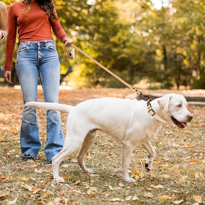 Wisedog Waterproof Dog Collar and Leash Set, Adjustable Puppy Collar with Cute Tag 5FT Dog Leash with Poop Bag for Small Medium Large Dogs (M, Sand Color)