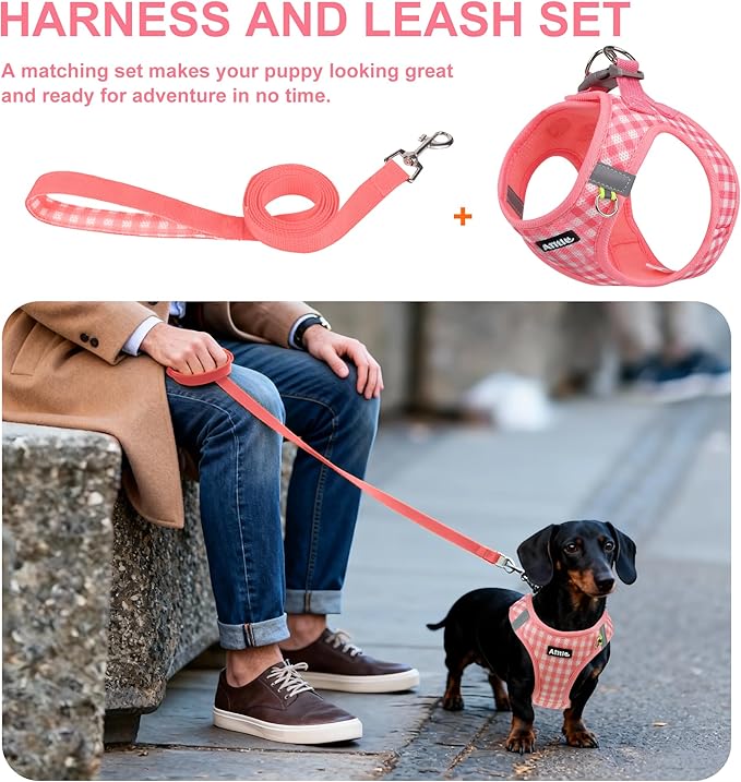 AIITLE No-Pull Pet Harness with a Leash, Plaid Comfort Padded Vest, Step in Dog Harness, Reflective Bands, Soft Breathable Pet Supplies, for Small and Medium Dogs and Cats Watermelon S