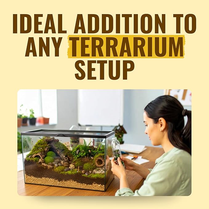 Creation Cultivated 12+ T+ Albino Armadillidium vulgare Isopods Live - Live Bugs for Bioactive Terrarium, Vivarium Clean-up Crews, and Reptile Food - Easy-Care Isopods for Terrarium