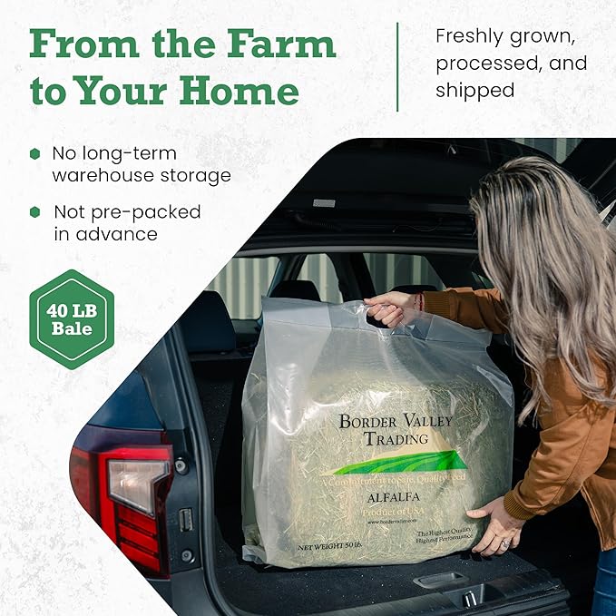Border Valley Timothy Hay Bale in Bag, 40 lb - High Fiber Grass Hay for Rabbits, Guinea Pigs, Chinchillas, Tortoises, Horses and Livestock - Classic Coarse Grass Hay, Farm-to-Home Freshness