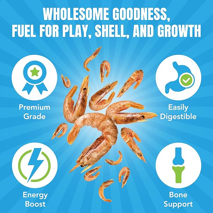 JOR Dried Shrimps for Turtle, Freeze-Dried High Protein, Low Fat Snack for Shell Growth & Energy, Easy-Chew Treat for Tropical Fish, Reptiles, Amphibians & Other Aquarium Pets, 1 oz
