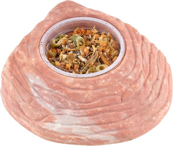Healthy Herp Bearded Dragon Food Instant Meal for Reptiles - Nutritious Bearded Dragon Accessories, Bearded Dragon Food - Made in USA - for Box Turtles, Lizards, Tortoises - 7 x 0.2 oz (5.7g) Cups