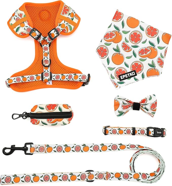 Small Dog Harness and Leash Set of 6, No Pull Soft Lightweight Mesh Puppy Harness， Adjustable Cute Floral Pattern Pet Harness for Small Medium Dogs (Orange, S)