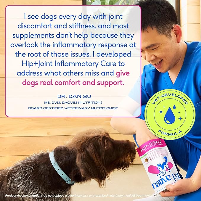 Native Pet Inflammatory Care - Pain Relief for Dogs - Green-Lipped Mussel, Turmeric & Collagen for Dogs - Hip and Joint Supplement Supports Healthy Inflammatory Response & Joint Comfort - 60 Chews