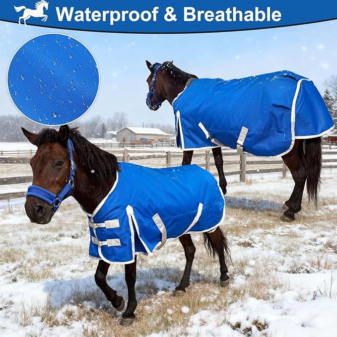 Mini Horse Pony Foal Horse Blankets,1600D Oxford Cold Weather Horse Trunout Sheets, Medium Weight Winter Horse Care Blankets with 280g Filling Liner (Blue, US 51 inch/EU 100 cm)