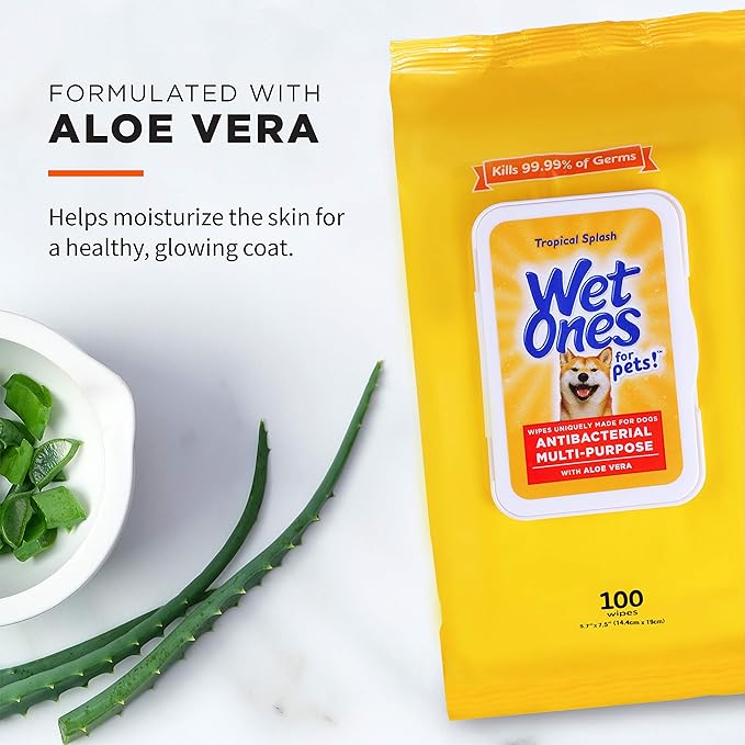 Wet Ones for Pets Multipurpose Dog Wipes with Aloe Vera, Tropical Splash Scent - Pet Bathing Wipes with Wet Lock Seal for Dog Paws & All Over Use, 100 Count - 3 Pack