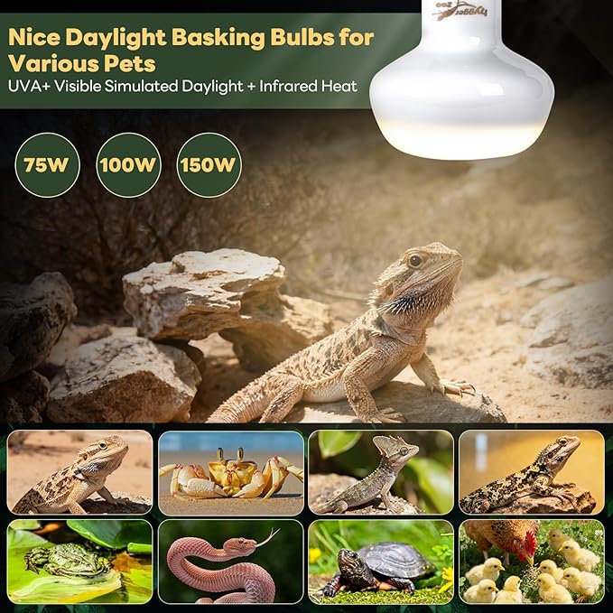 Reptile Heat Lamp, 2 Pack 150W Simulated Natural Sunlight Heat Lamp Bulbs Reptile Warm Light Lamp UVA Daylight Basking Light for Bearded Dragon Chameleon Turtle Snake Leopard Gecko Chicken, White