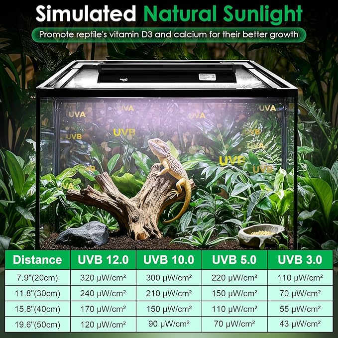UVB Light for Reptiles, 10W HO LED UVB Reptile Light Fixture UVA UVB Lamp Bulb Terrarium Light with Timer and 5 Adjustable Brightness for Bearded Dragon Turtle Snake Crested Gecko Chameleon, 12 Inch