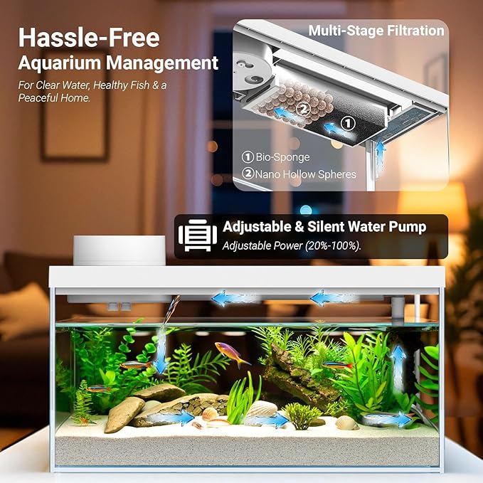 Smart Desktop Aquarium Kit with App Control - 1.3 Gal Glass Fish Tank with Automatic Feeder, RGB Lighting, & Temperature Monitor - Self-Cleaning Filtration System for Betta, Guppy