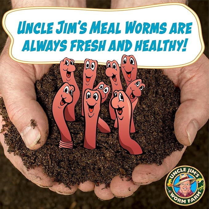 Uncle Jim's Worm Farm 3000 Count Mealworms for Reptiles and Chickens | Mealworms for Feeding Lizard, Gecko, Bearded Dragons, Chickens, Birds, and More | Suitable for Fishing Bait