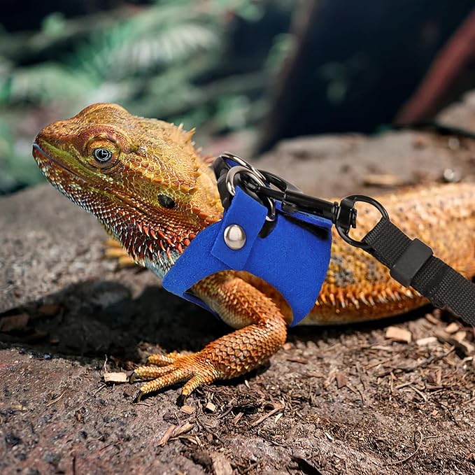ADOGGYGO Bearded Dragon Harness Leash Set- 3 Size Pack Lizard Harness, Lizard Reptile Walking Leash Harness for Bearded Dragon Lizard Reptiles (Blue)