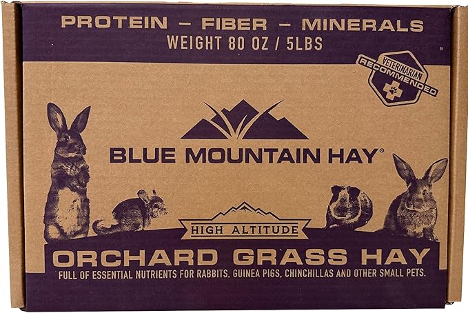 Blue Mountain Hay High Altitude Orchard Grass Hay Pet Food (5 lb) - Fresh, Soft & Leafy, High Fiber Nutrition - Sweet Aroma, Additive-Free, Supports Digestion, Dental Health & Natural Foraging