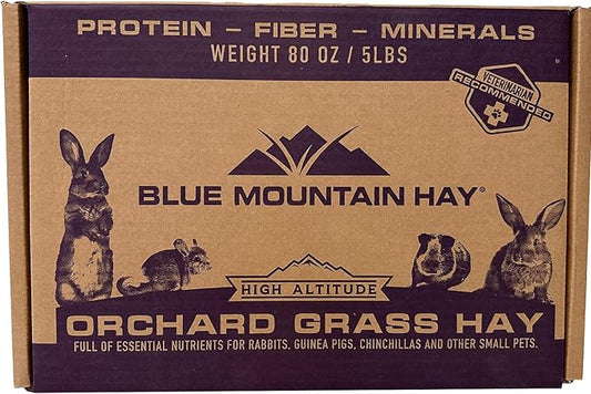 Blue Mountain Hay High Altitude Orchard Grass Hay Pet Food (5 lb) - Fresh, Soft & Leafy, High Fiber Nutrition - Sweet Aroma, Additive-Free, Supports Digestion, Dental Health & Natural Foraging
