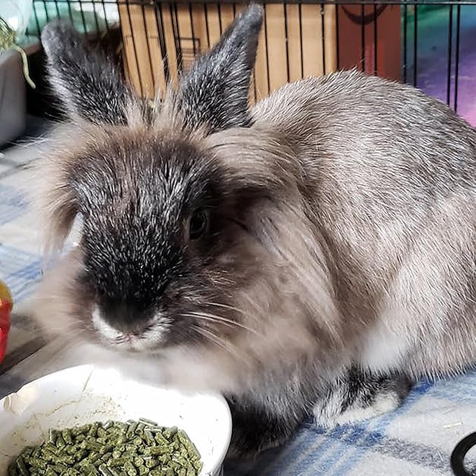 Sherwood Pet Health Adult Rabbit Food Timothy Hay Free-Choice 4.5lbs Hay-Based, Grain and Soy-Free for Better Digestion