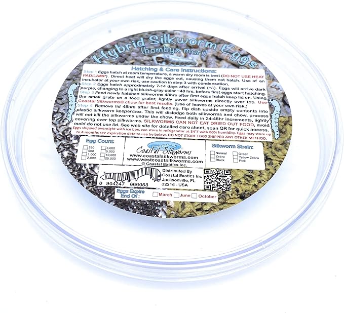 1,000 Count Live Silkworm Eggs Bombyx Mori (Pack of 1)