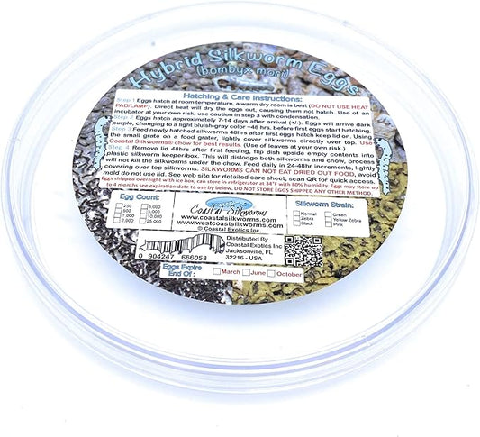 250 Count Live Silkworm Eggs Bombyx Mori