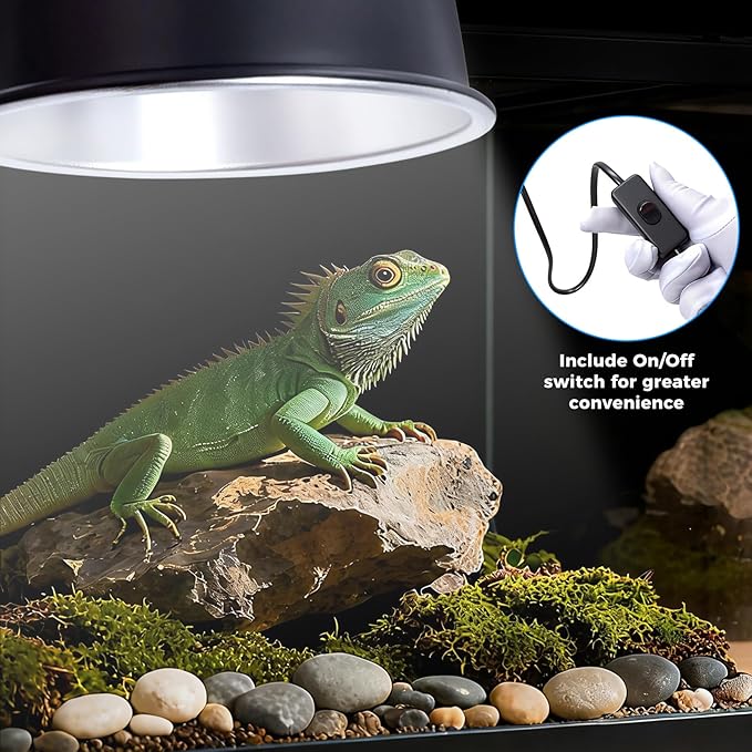 5.5 Inch Reptile Deep Dome Light Fixture UVB Reptile Light